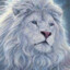 White Lion(-B_E-)