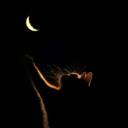 秀才一笑很倾城