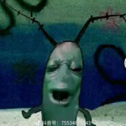 迎着阳光盛大逃亡