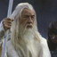 GANDALF THE WHITE (SUPREMACIST)