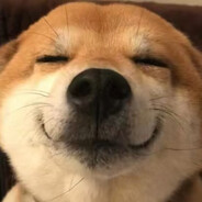 世一帅