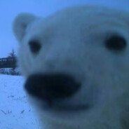 我要偷走你们的f8按钮