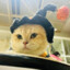 KING88433
