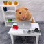 UnSeR IT-HAMSTER