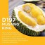 Musang King