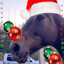 Festive, Merry Horse