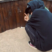 情绪总在心尖上