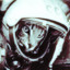 Cozmanaut