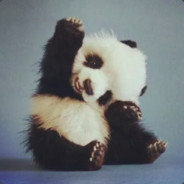 达拉崩吧班得贝迪卜多比鲁翁