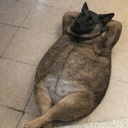 еврентий голопуз