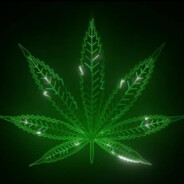 EL MARIHUANO DE AMSTERDAM