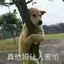 真他妈让凳子害怕