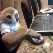 Seraph-ROLLBACKFIXSFV