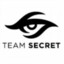 TEAM SECRET