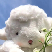 库洛米椰ᥫᩣ🕊