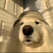 纯情男大不打狙