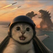 我真的不打职业