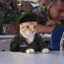 Cat/and_Ana