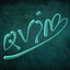 Qvim