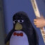 pingu