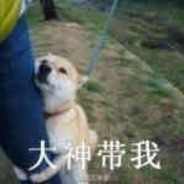 %COLOR(ffd700)骚话阿强