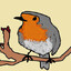 Avatar of Look a Bird