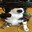 Bluesteel avatar