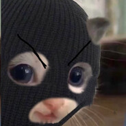 nothehecat
