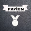 FavieN