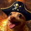 Pirate dawg