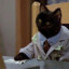 ryecat