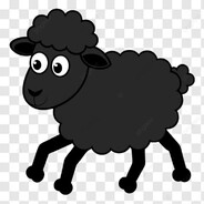 BlaCK sHeeP