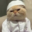 Abo AL Nazzal