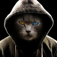 fishka - steam id 76561199572604109