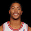 prime d.rose