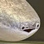 Le Fish