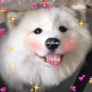 L'Impératrice_ᴍᴜᴢᴢ👑