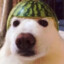 БЫДЛО