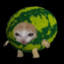 Meloncat