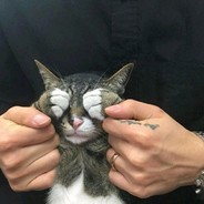 我卢本伟没有开挂