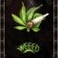 WeeD !