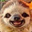 Its Yu Boy Sloth