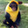 banana