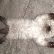 кирюха демон