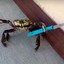 A Crab With A Knife