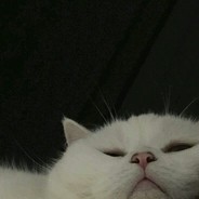 lepet - steam id 76561198875304465