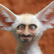 dnL. - steam id 76561198197298441