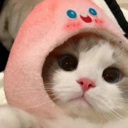 04#大学生#F426#opium#FE!N