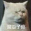 瓜子