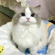 北京不相信爱情